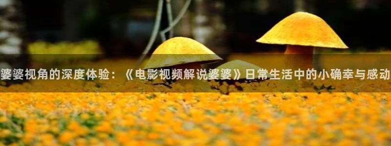 奇优影院改为啥名了：婆婆视角的深度体验：《电影视频解说婆婆》日常生活中的小确幸与感动