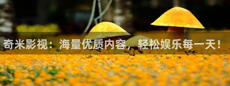 奇优影院手机版电视剧在线观看：奇米影视：海量优质内容，轻松娱乐每一天！