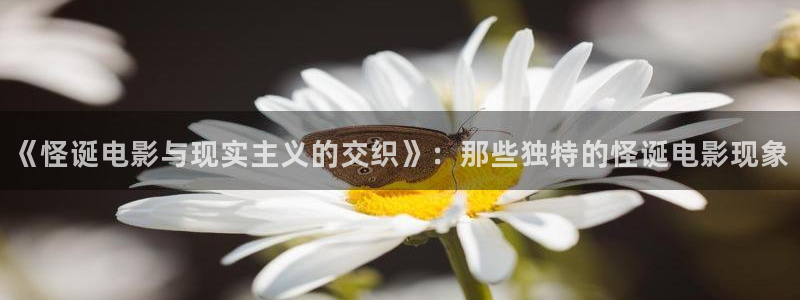 奇优影院在线观看最新电影电视剧
