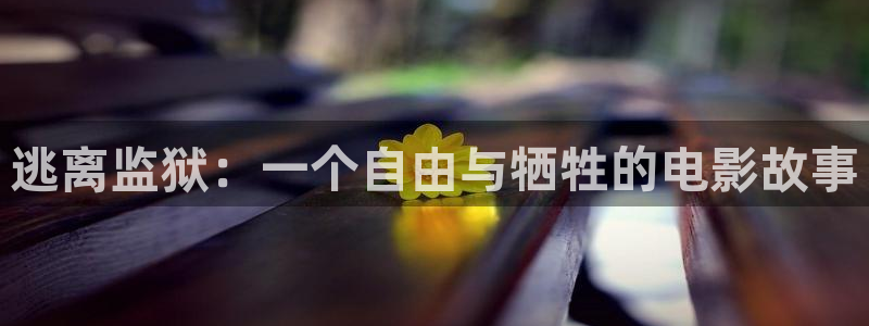 奇优影院手机版免费观看最新版本更新时间