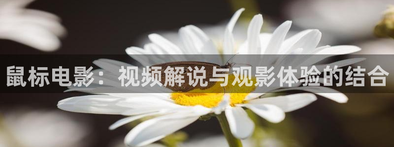 奇优影视手机版免费高清电影在线