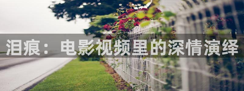 奇优影视手机旧版本
