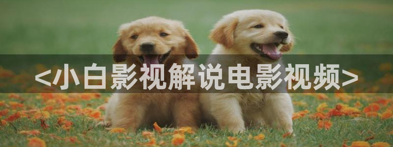 奇优影视在线看