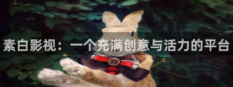 奇优影视连续剧手机版