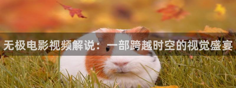 手机版奇优影院伦理片