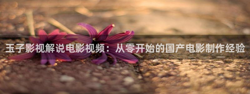 奇优影院黑狐影院yy4800