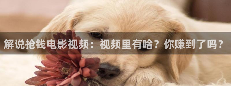 奇优影院手机版第一页
