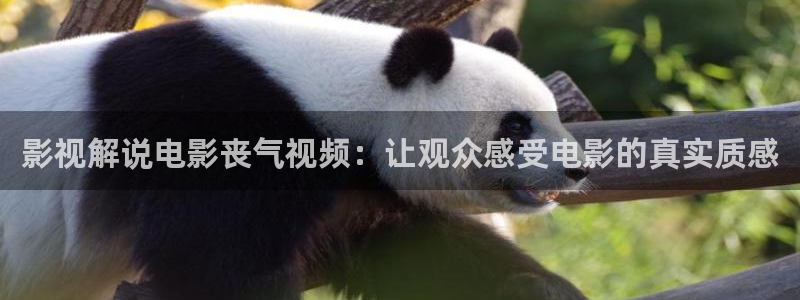 奇优影院观看网址免费