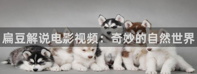 奇优影院在线将夜：扁豆解说电影视频：奇妙的自然世界