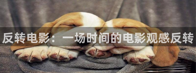 奇优影院连续剧手机版