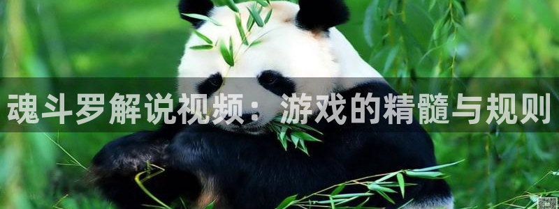 奇优影院影院app