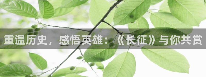 奇优影视手机版在线观看