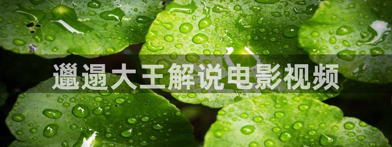 奇优影院电视剧电视剧
