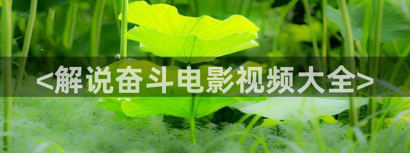 奇优影院黑狐影院在线观看
