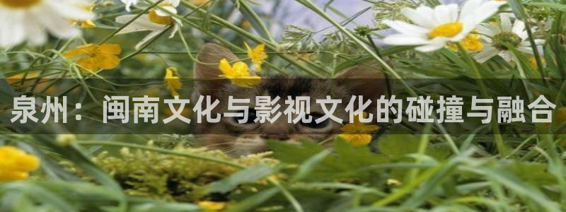 奇优影院手机版免费高清电视剧在线观看2025