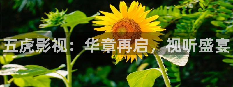 奇优影院在线观看视频