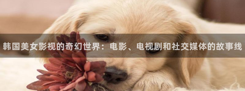 奇优影院福利