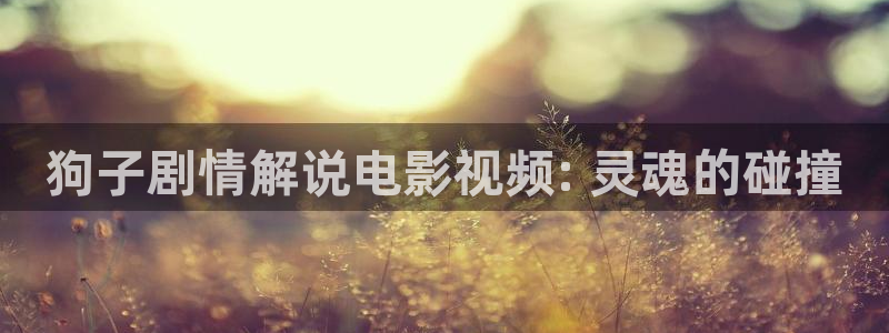 奇优影院免费观看