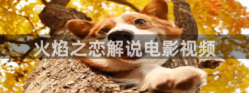 奇优影视免费观看