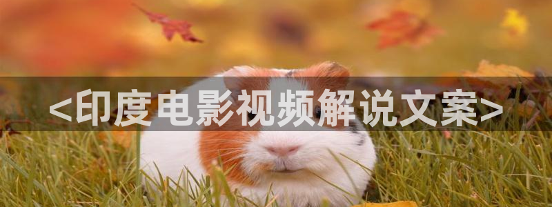 奇优影院手机在线看