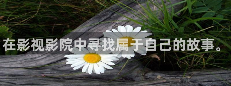 奇优影院电视剧理论