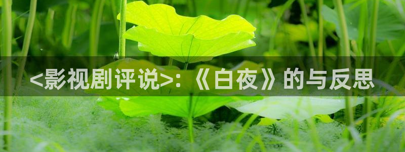 奇优影院网站：<影视剧评说>: 《白夜》的与反思