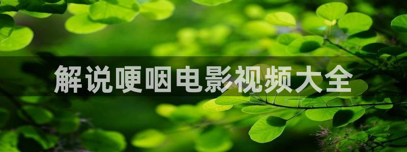 手机奇优影院：解说哽咽电影视频大全