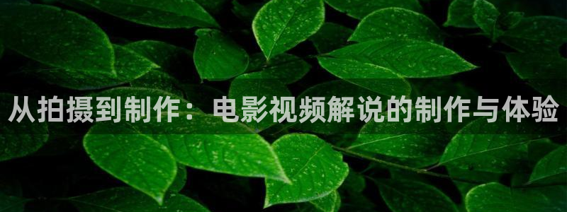 奇优影院手机版在线：从拍摄到制作：电影视频解说的制作与体验