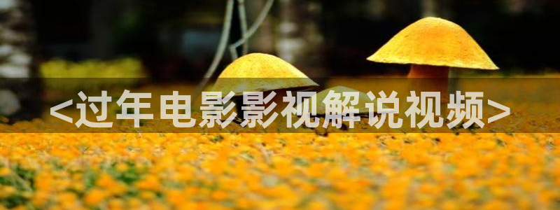 奇优影视网址：<过年电影影视解说视频>