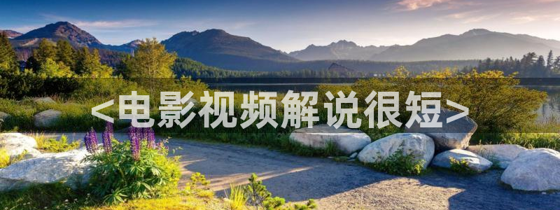 奇优影院网站：<电影视频解说很短>